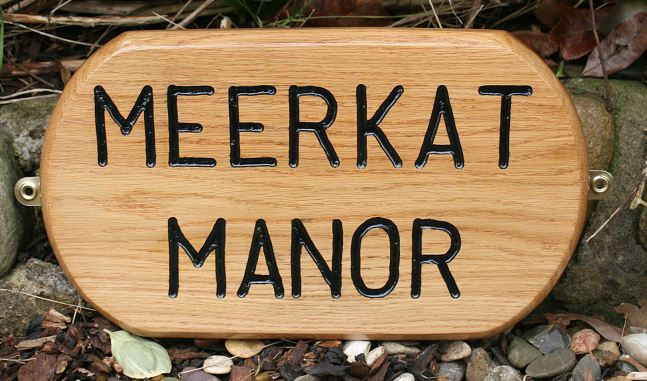 Numbers and Letters Mixed